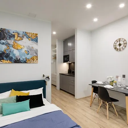 Old Ridzenes Design 公寓 里加