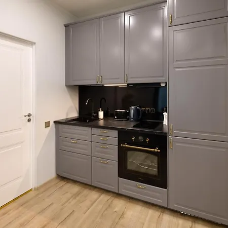Old Ridzenes Design Apartment Riga