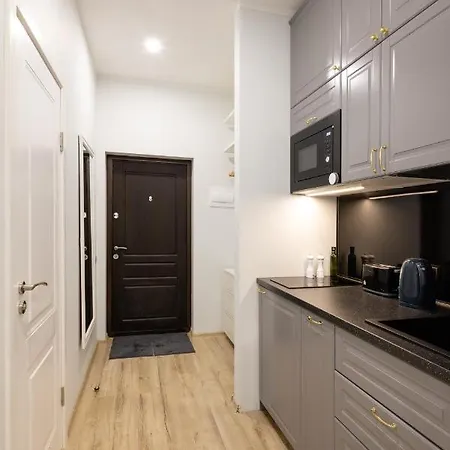 Old Ridzenes Design 里加