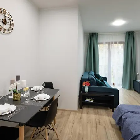 Old Ridzenes Design Appartement
