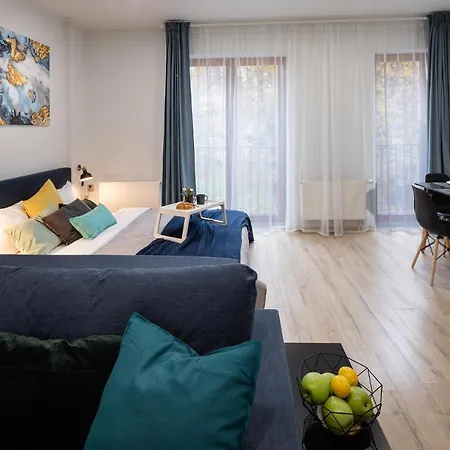 Old Ridzenes Design Apartment