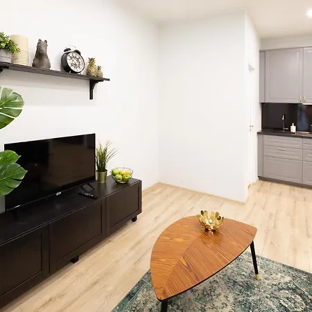Old Ridzenes Design Apartment *