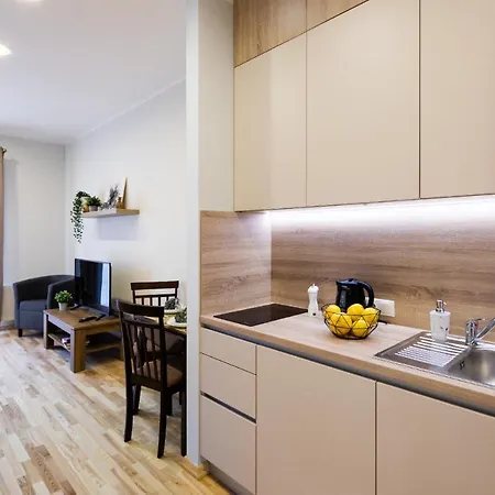 Old Ridzenes Design Apartment *