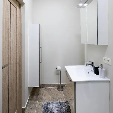Old Ridzenes Design Apartment