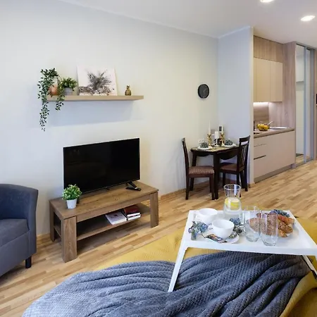 公寓 Old Ridzenes Design *