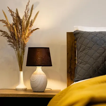 Old Ridzenes Design Apartment