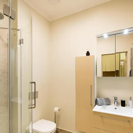 公寓 Old Ridzenes Design 里加