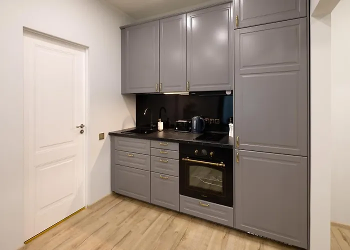 Old Ridzenes Design Apartment Riga