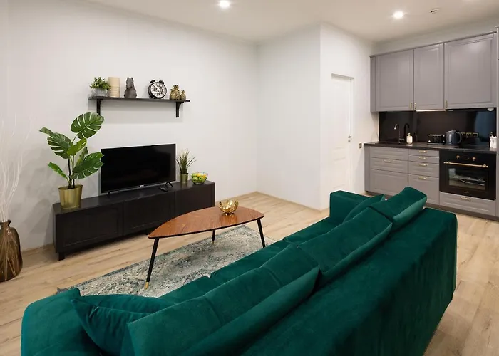 Apartment Old Ridzenes Design *