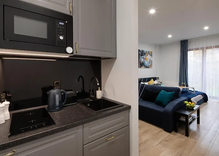 Old Ridzenes Design Apartment *