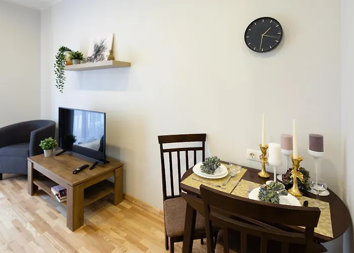 Apartment Old Ridzenes Design *