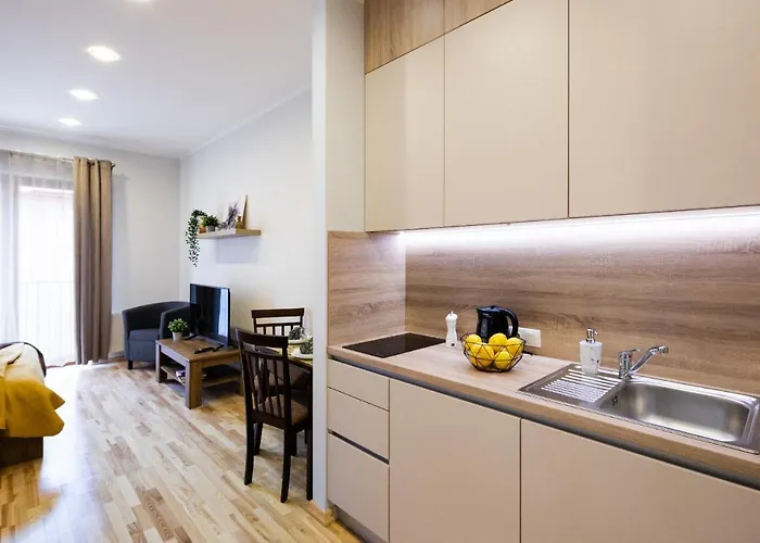 Old Ridzenes Design Dzīvoklis *