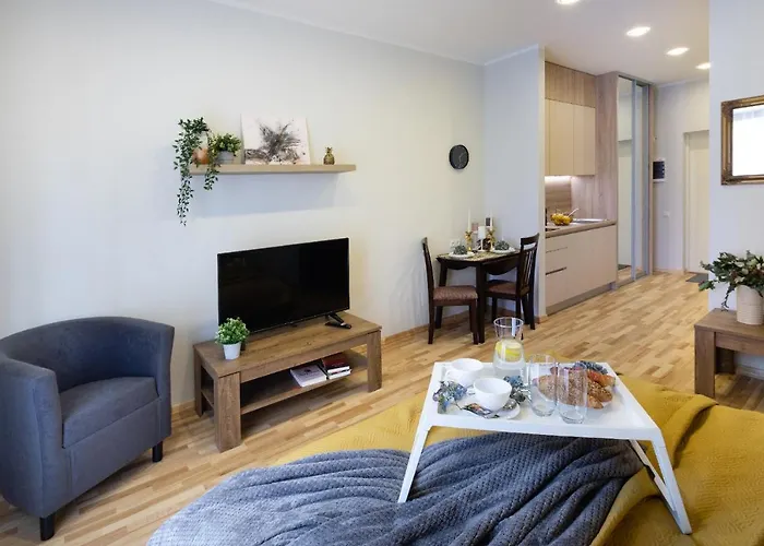 Apartment Old Ridzenes Design *