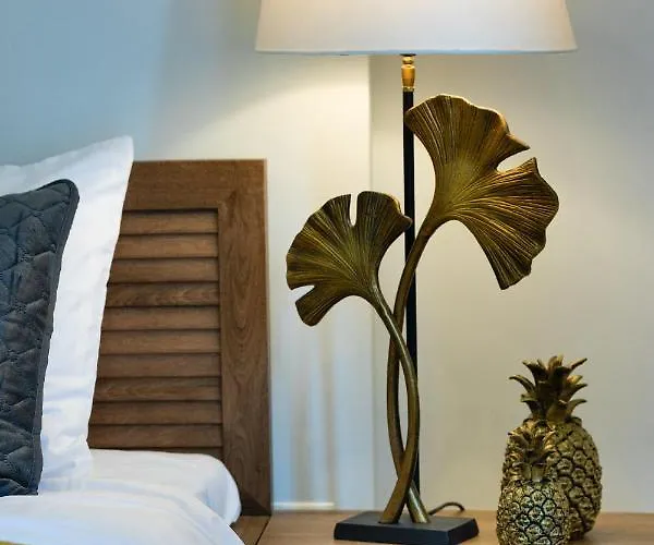 Old Ridzenes Design Apartment *