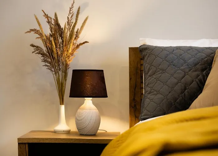 Old Ridzenes Design Apartment