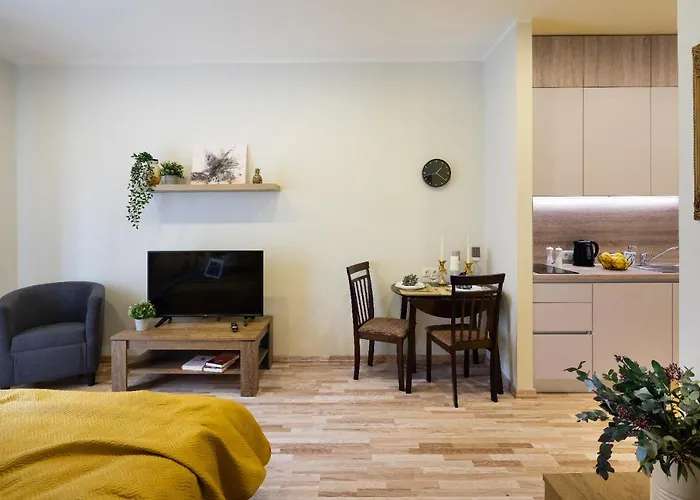 Dzīvoklis Old Ridzenes Design Riga