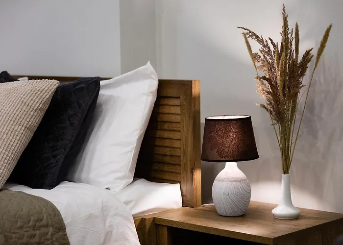 Old Ridzenes Design Riga