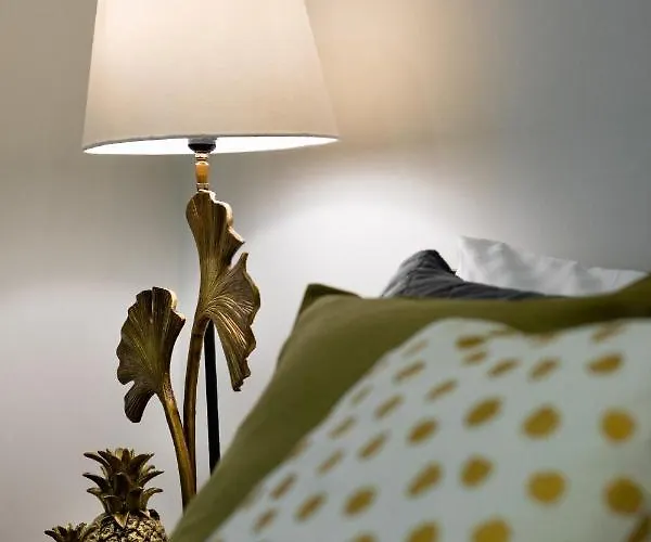 Lägenhet Old Ridzenes Design Riga