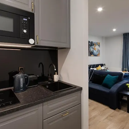 Old Ridzenes Design Lägenhet *