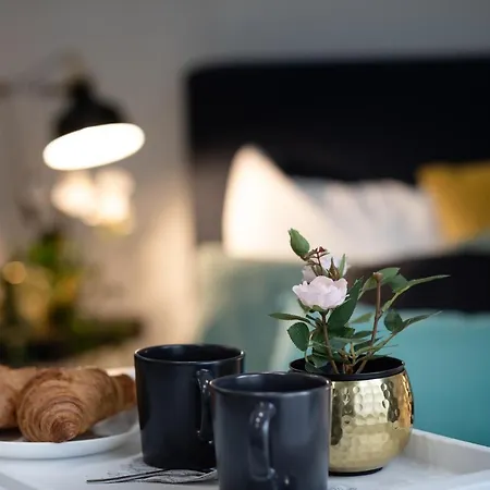 Old Ridzenes Design Riga