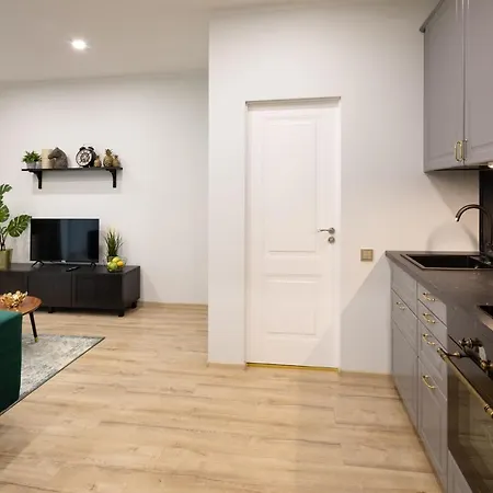 Old Ridzenes Design Lägenhet *