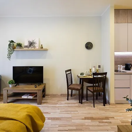 Apartmán Old Ridzenes Design Riga