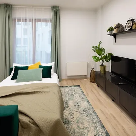 Old Ridzenes Design ريغا