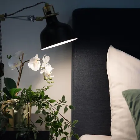 شقة Old Ridzenes Design *