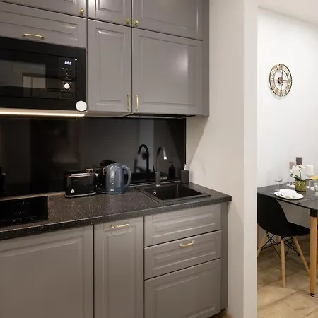 Old Ridzenes Design ريغا