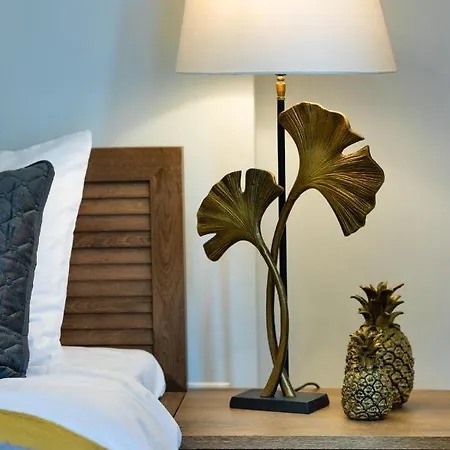 Old Ridzenes Design شقة *