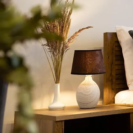 Old Ridzenes Design ريغا